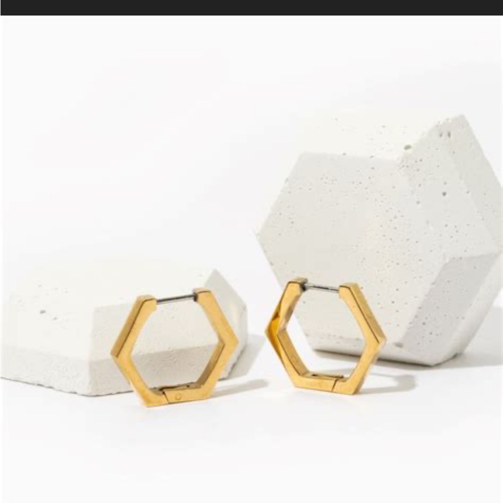 Tini Lux hypoallergenic hexagon hoop earrings